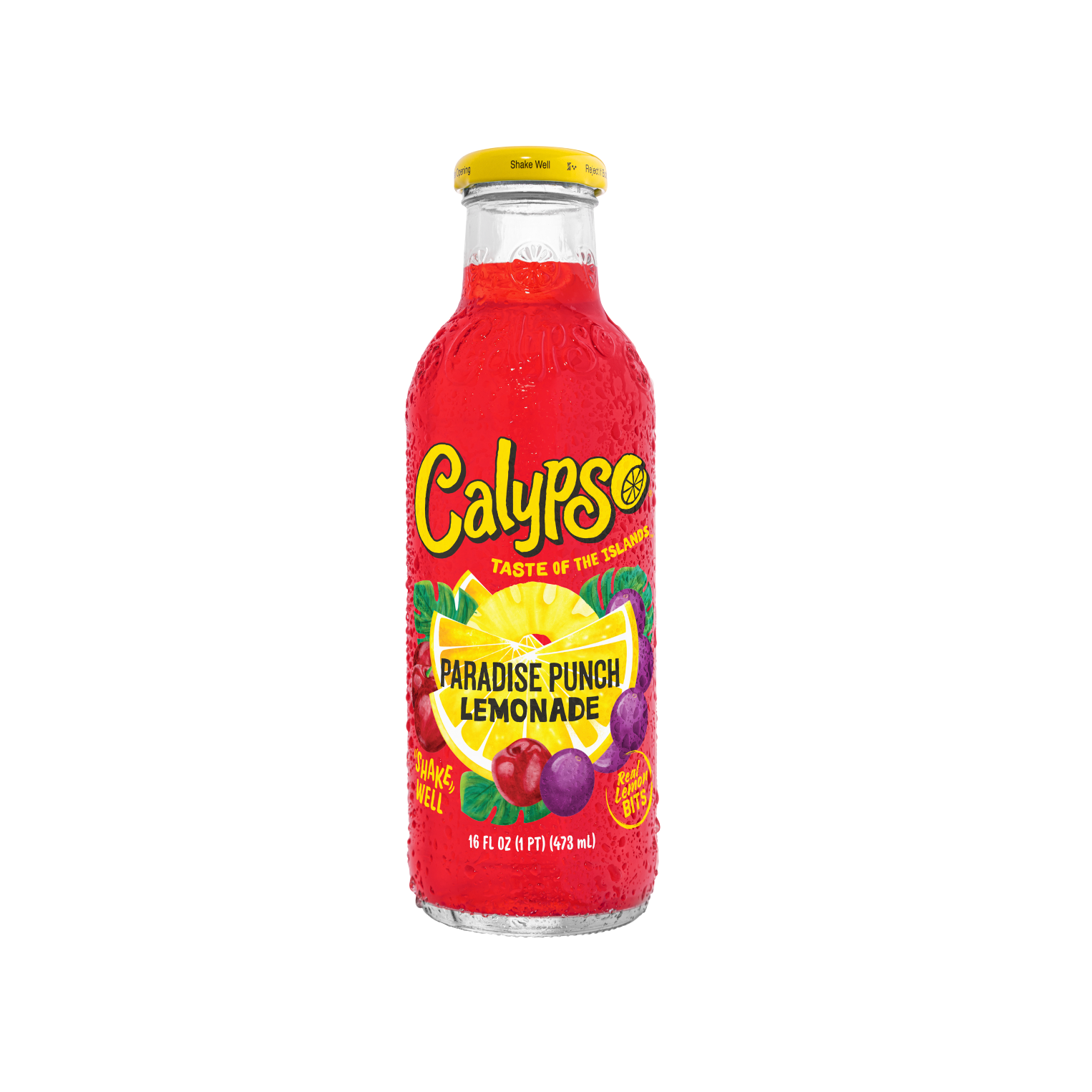 Calypso Paradise Punch Lemonade 473ml-Calypso-SNACK SHOP AUSTRIA