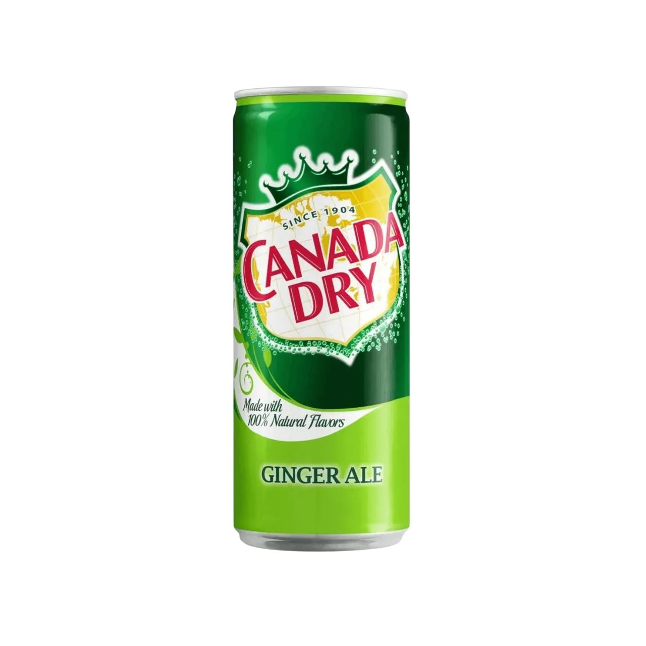 Canada Dry - Ginger Ale 330ml-Dr Pepper-SNACK SHOP AUSTRIA