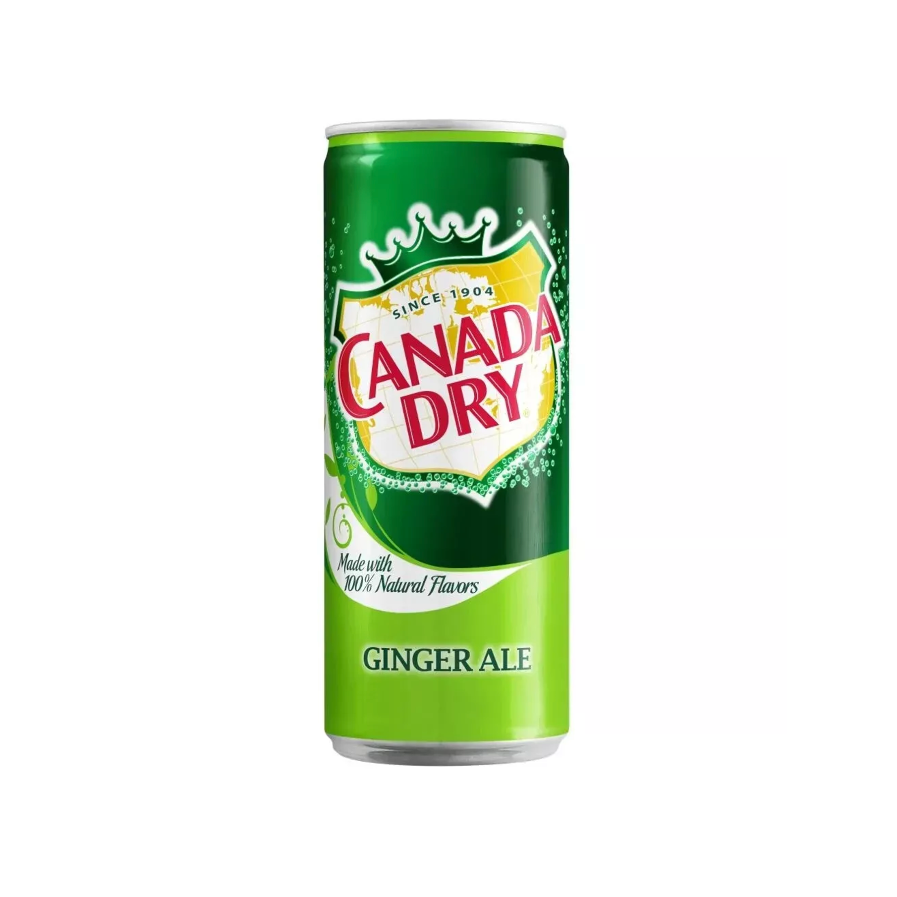 Canada Dry - Ginger Ale 330ml-Dr Pepper-SNACK SHOP AUSTRIA