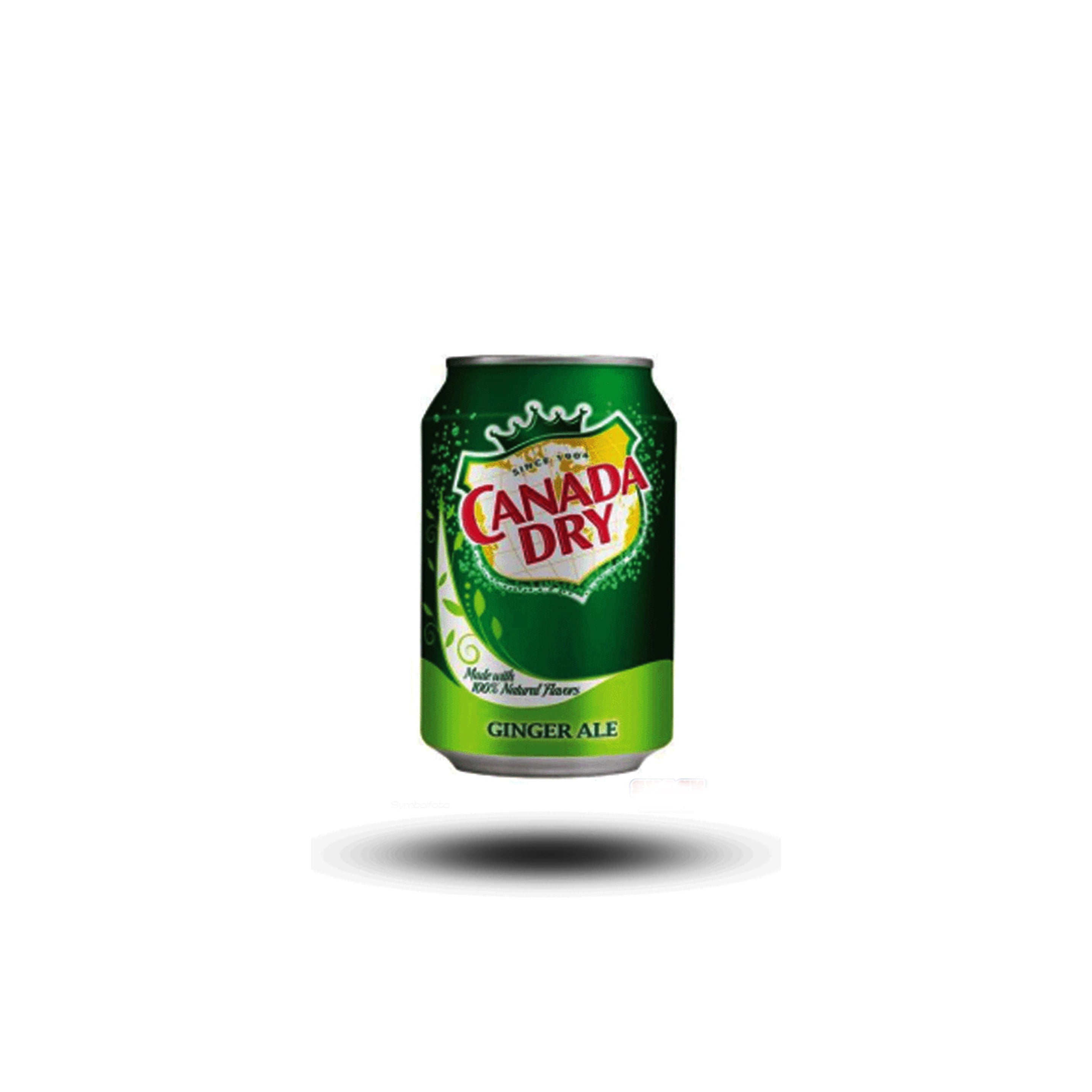 Canada Dry - Ginger Ale 330ml-Dr Pepper-SNACK SHOP AUSTRIA